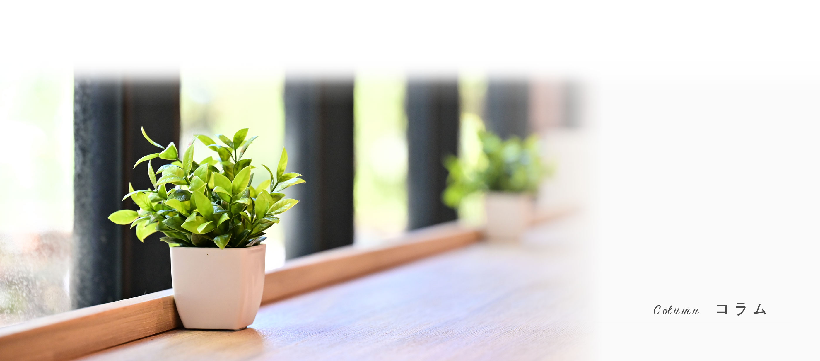 キービジュアル